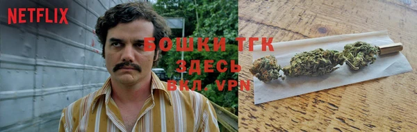 прущий лед Алексин