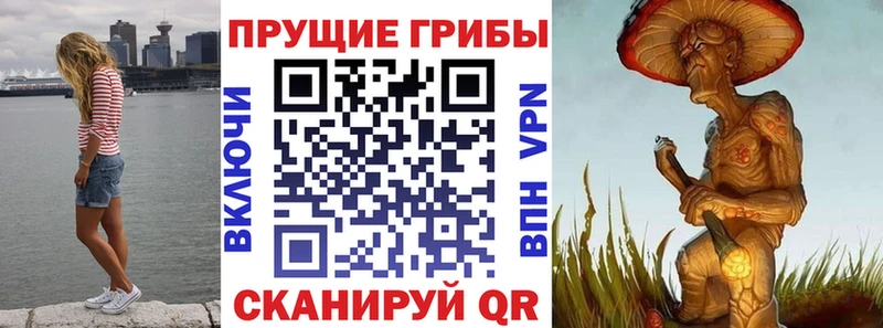 Псилоцибиновые грибы Psilocybine cubensis  Льгов 
